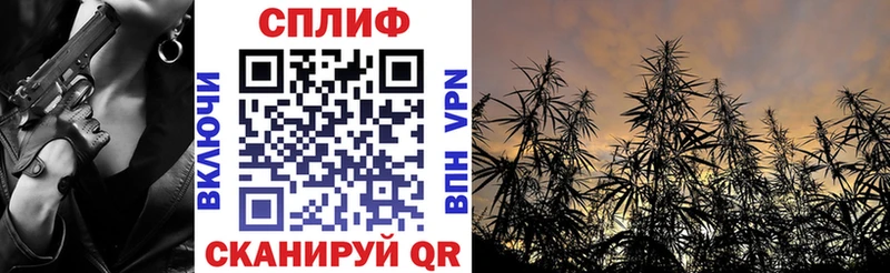 МАРИХУАНА семена  Купить закладки  Городовиковск 